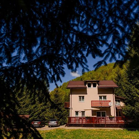 Cabana Zip Zărneşti 外观 照片